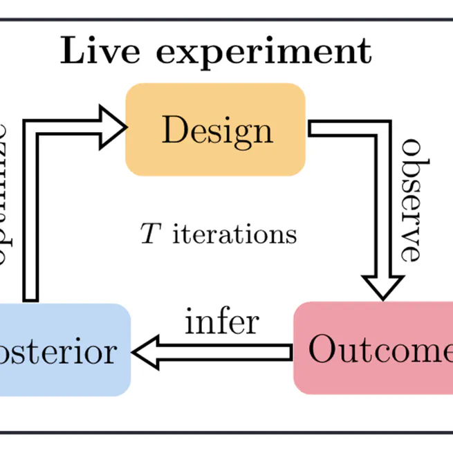 Bayesin Experimental Design